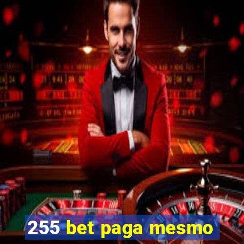 255 bet paga mesmo